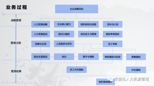 數據產品在人力資源管理的實踐與思考 一、在線數據處理與交易處理業務